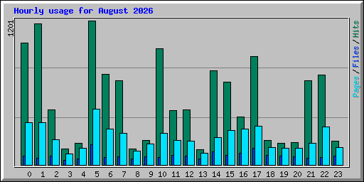 Hourly usage for August 2026